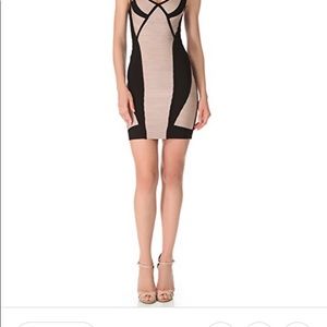 NWT Herve ledger karina dress